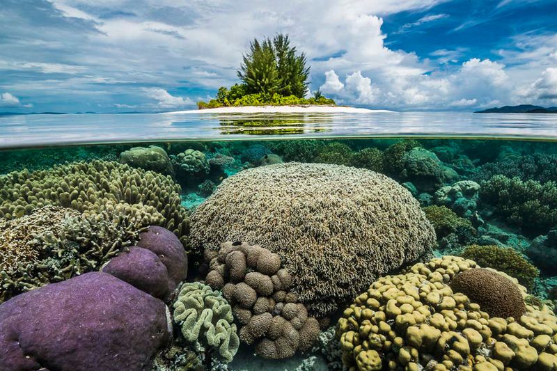 Raja Ampat Islands, Indonesia