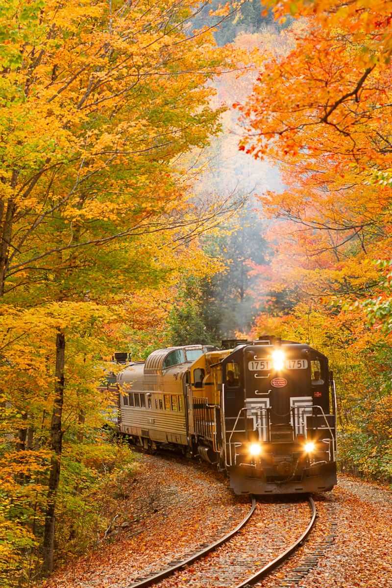 Vermont Maple Line