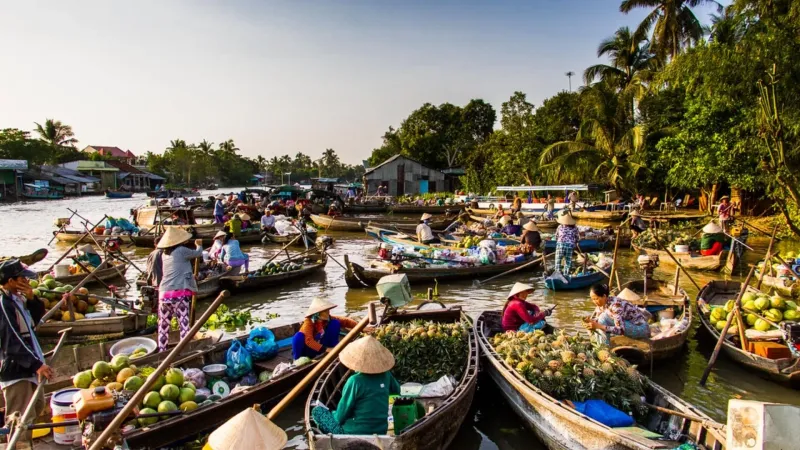Wading Through the Mekong Delta, Vietnam