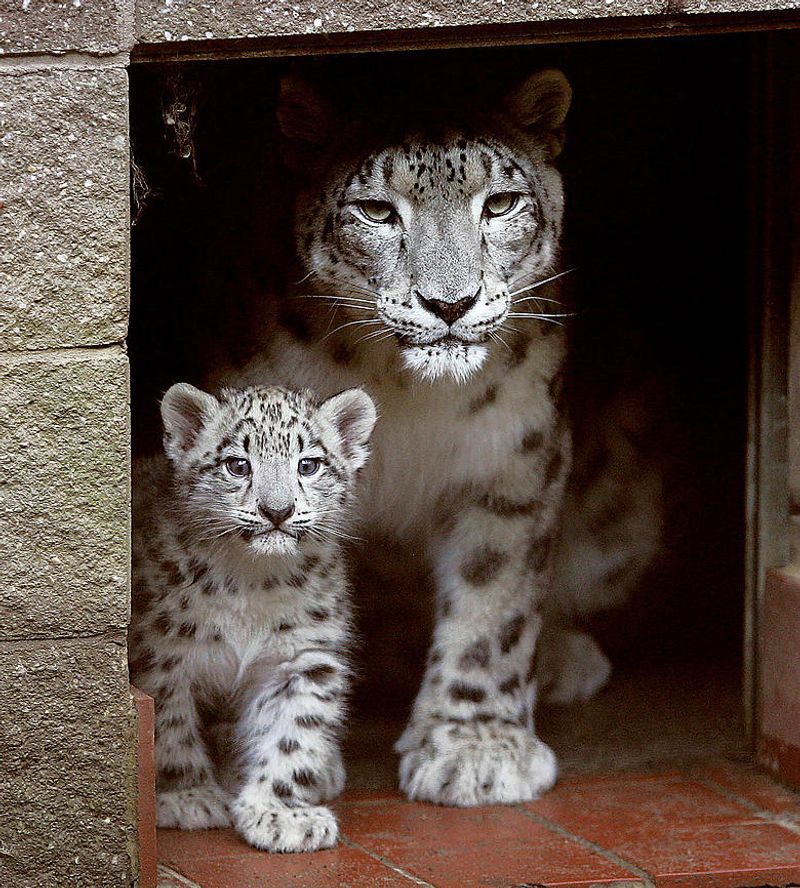 Delaware - Brandywine Zoo