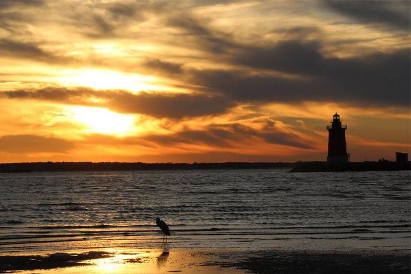 Delaware: Cape Henlopen State Park