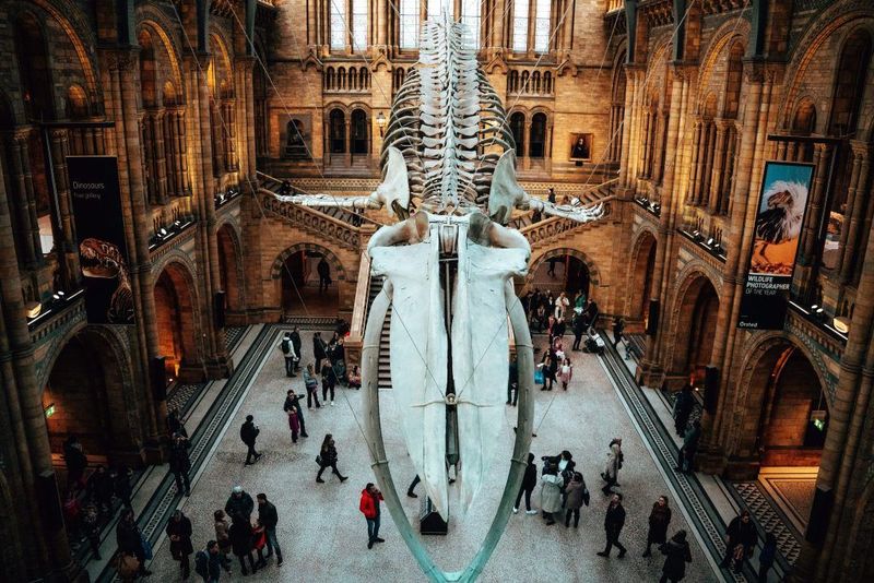 Hunt for Free Attractions