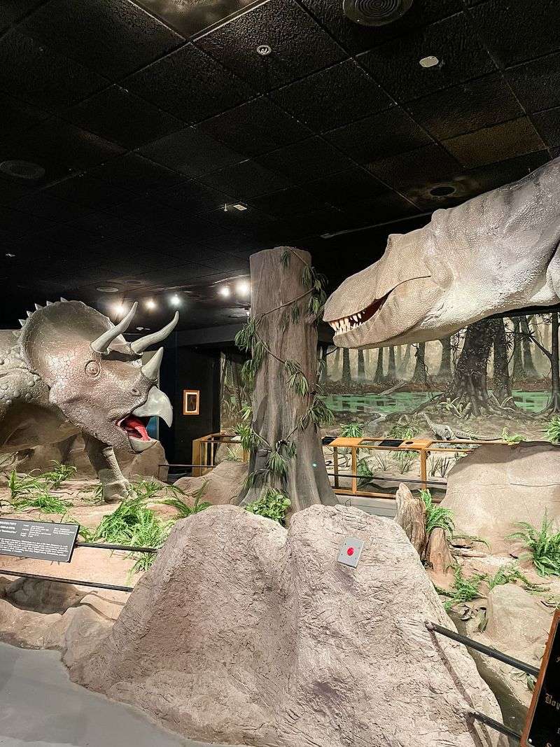 The Las Vegas Natural History Museum