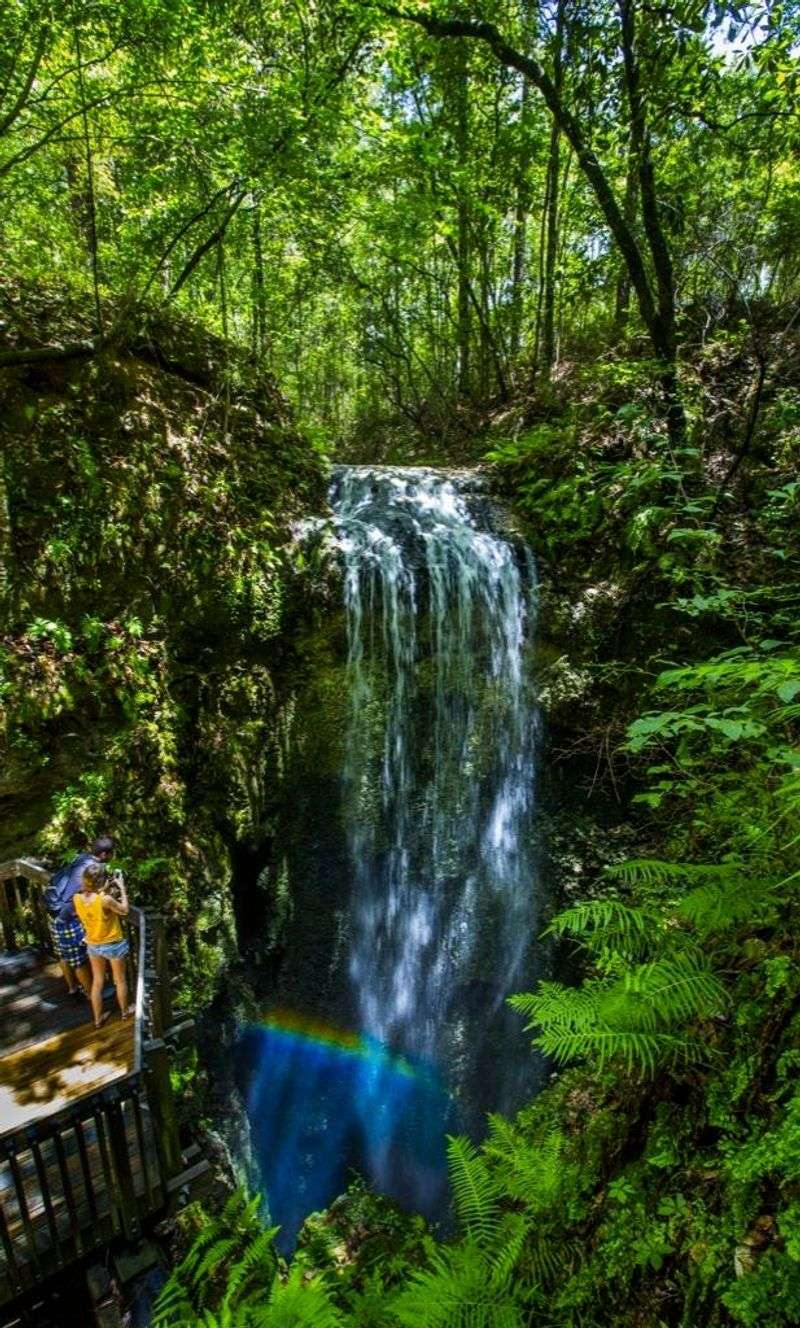 Falling Waters State Park
