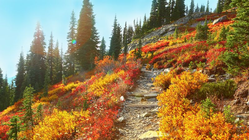 Hiking Adventures