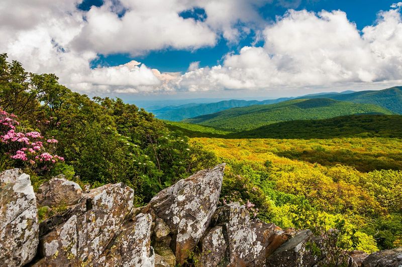 Shenandoah National Park, Virginia