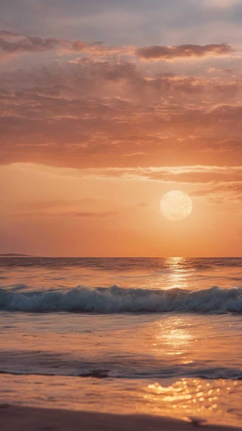 Amber Shore