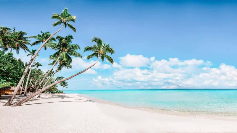 Ivory Beach