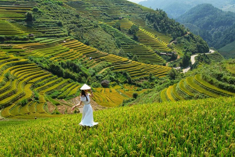 Vietnam's Timeless Charm