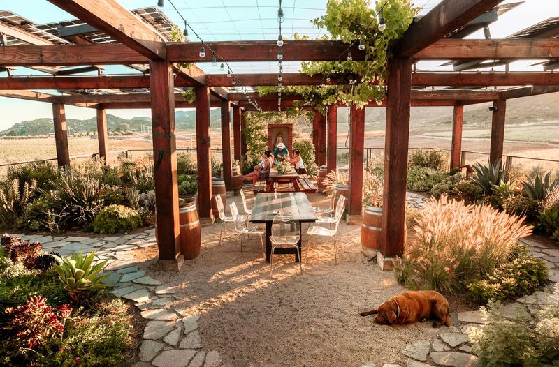Boutique Wineries