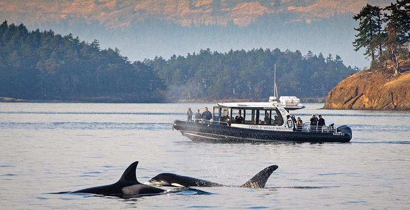 Peaceful San Juan Islands, Washington