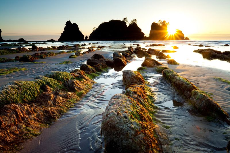 Shi Shi Beach, Washington