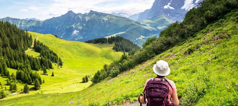 Hiking the Swiss Alps