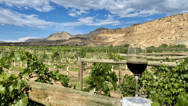 Palisade, Colorado