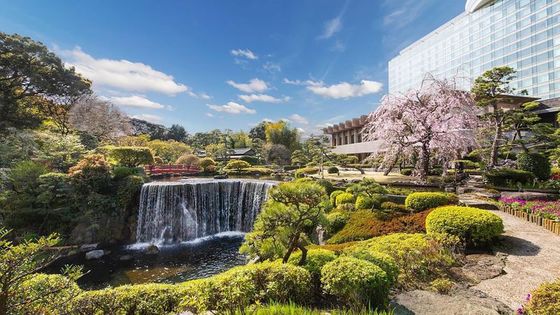 Day 4: Zen Garden Retreat