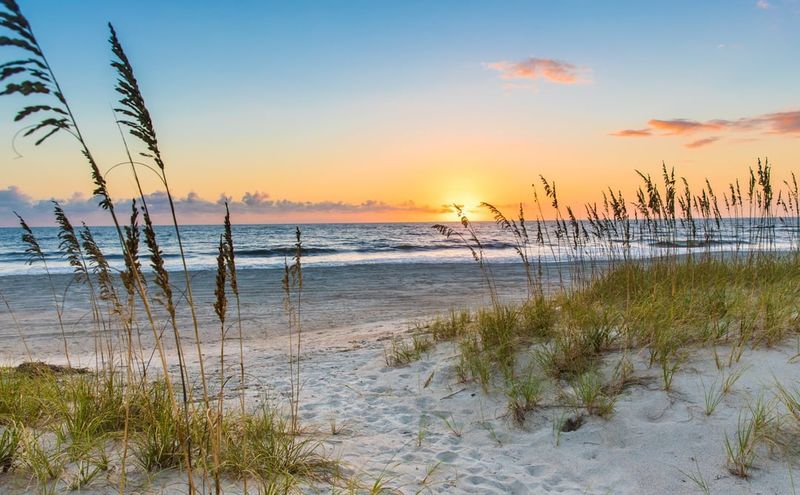 Amelia Island
