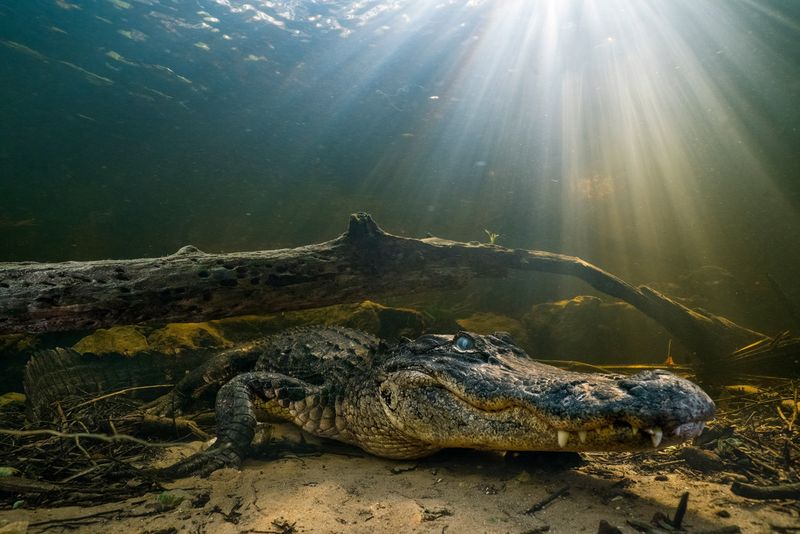 Everglades National Park