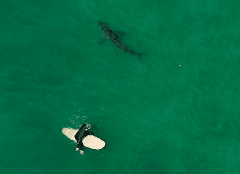 Solana Beach, California