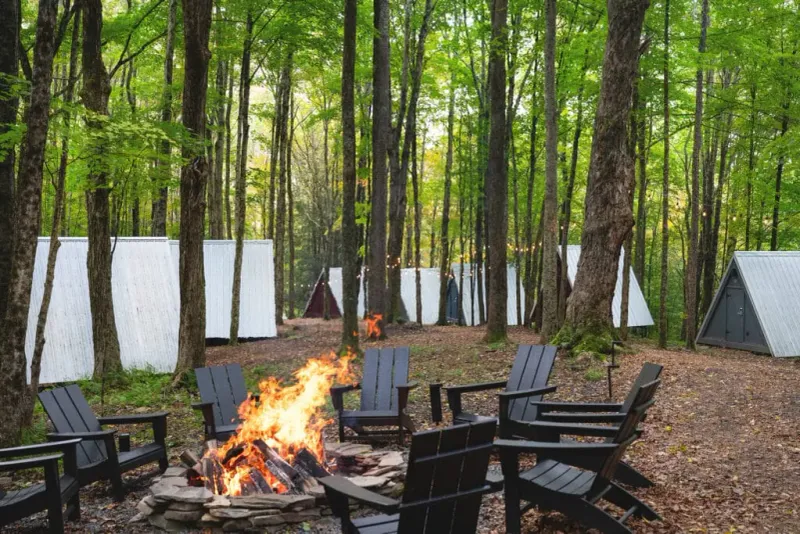 Secluded Woodland Camp