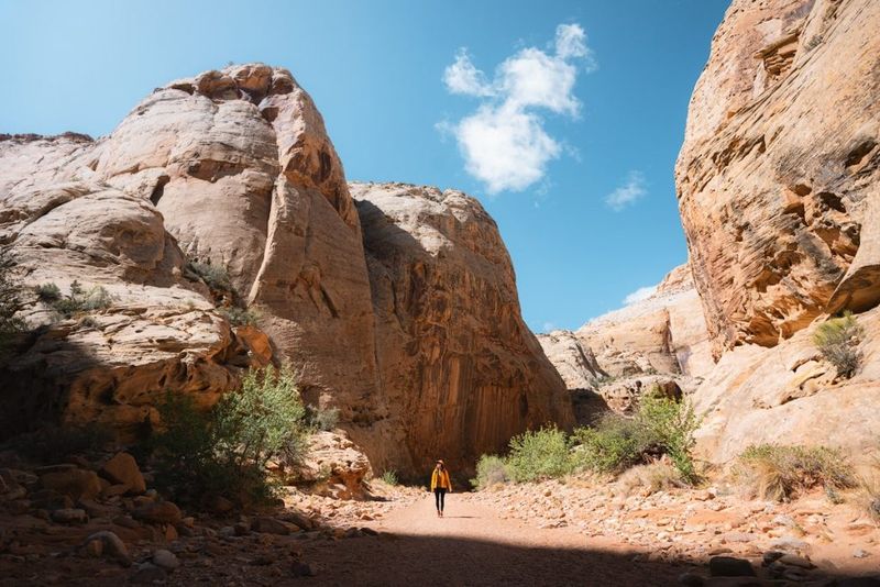 Capitol Gorge Trail