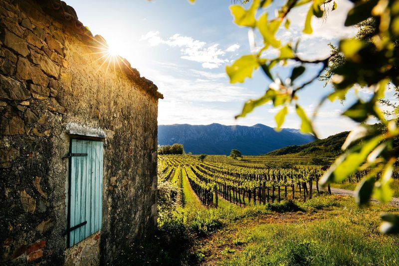 Vipava Valley, Slovenia