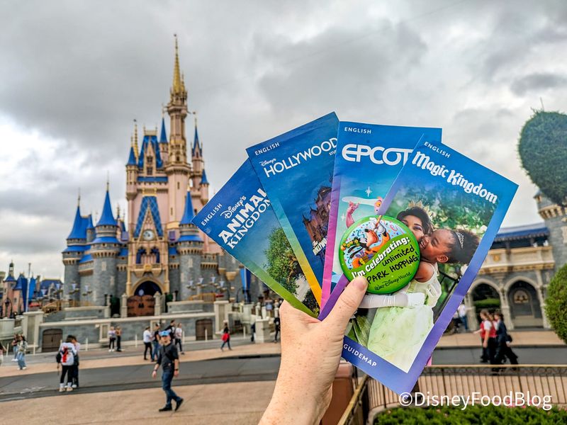 Utilizing Park Hopper Passes