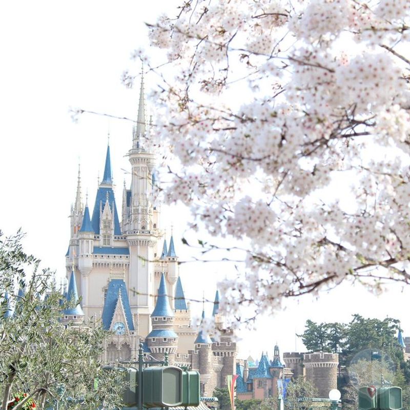 Tokyo Disneyland, Japan