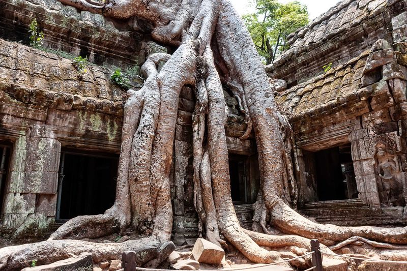 Exploring the Ruins of Angkor Wat, Cambodia