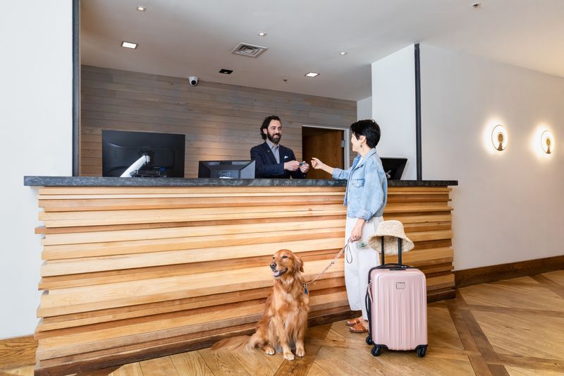 Check Hotel Pet Policies