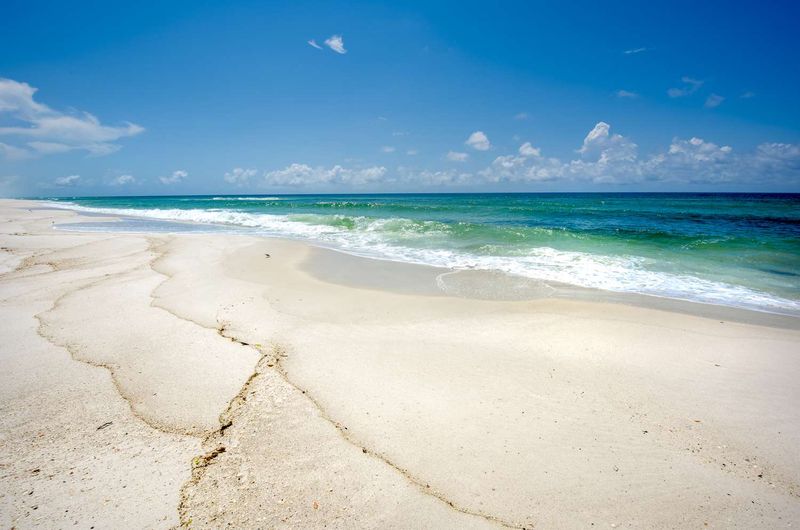 Secluded Beach Picnics
