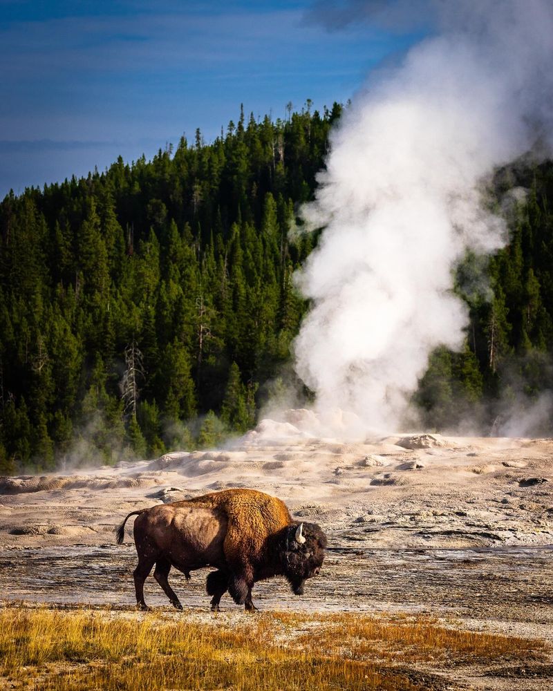 Yellowstone National Park