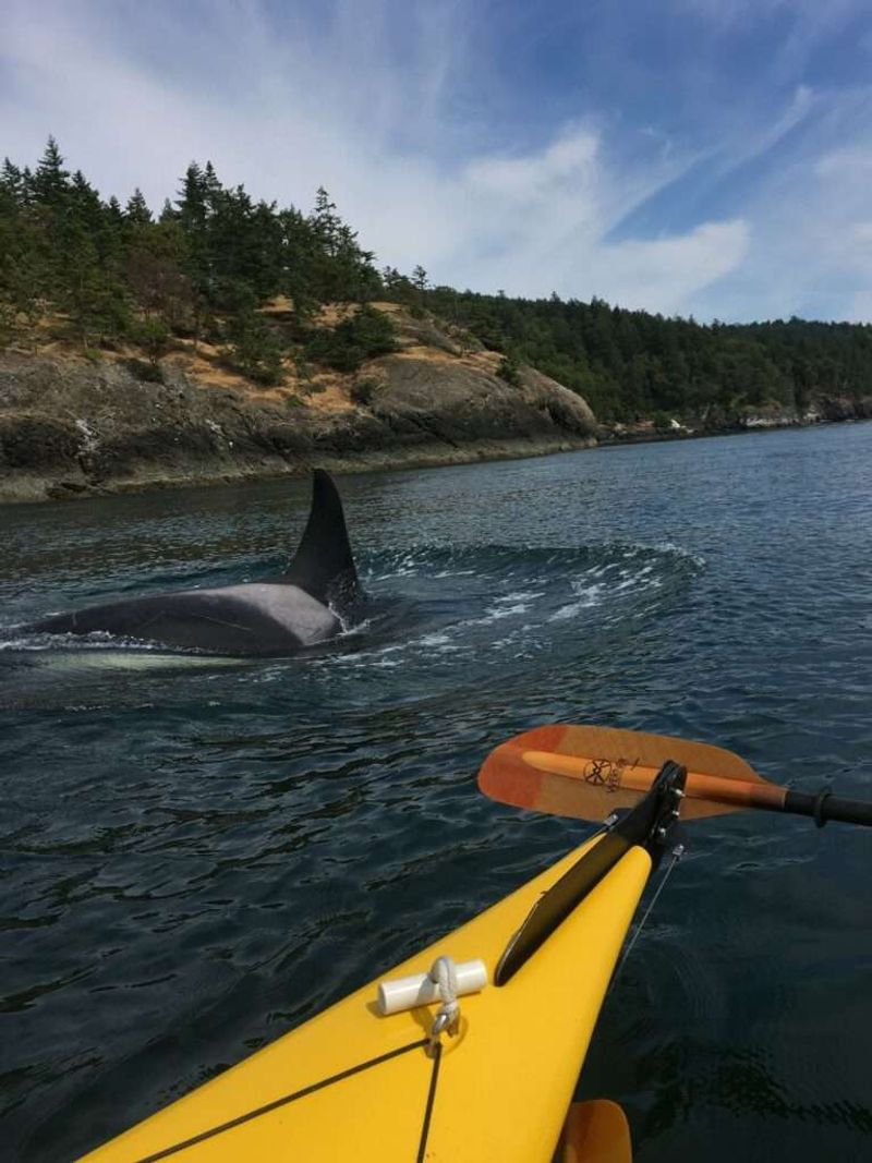 San Juan Islands, Washington