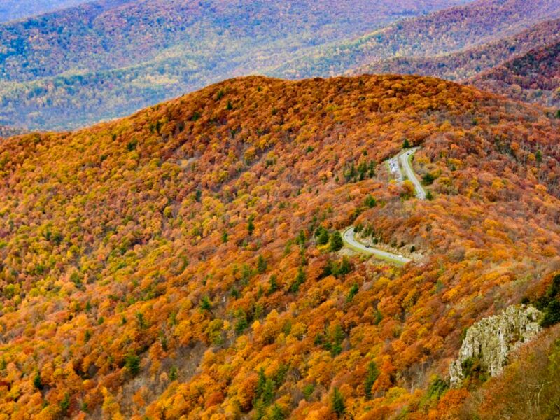The Blue Ridge Parkway, North Carolina/Virginia