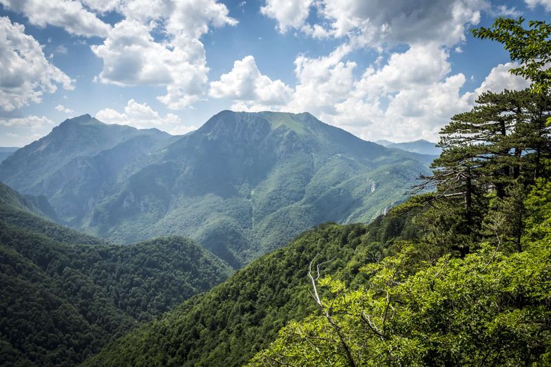 Sutjeska National Park, Bosnia and Herzegovina