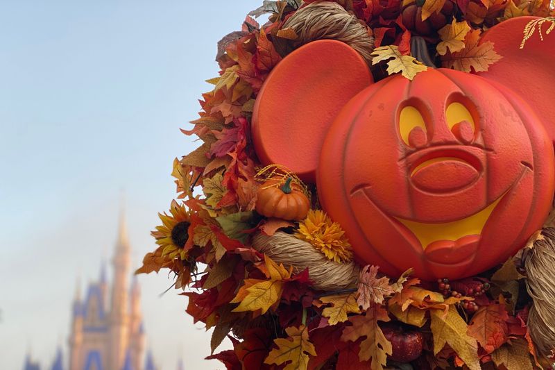 Thanksgiving Week: A Festive Gathering
