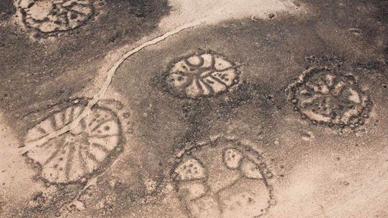 The Nazca Lines