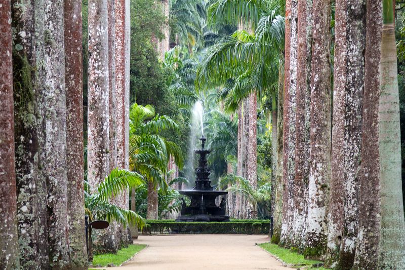 Visit the Botanical Garden