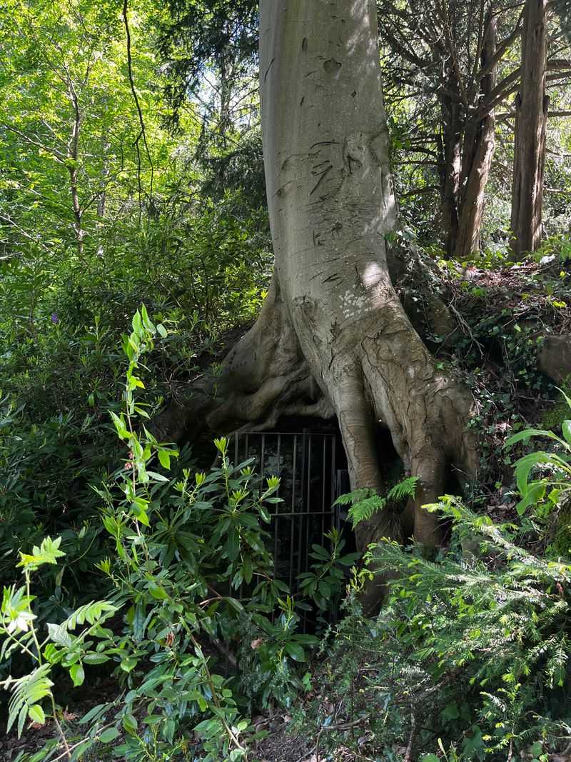 Hidden Entrances