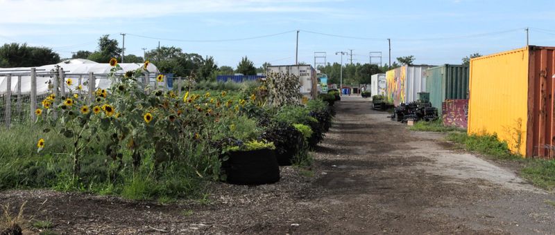 Urban Farming Experience