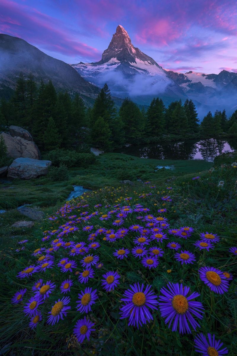 Wildflower Valley, Switzerland