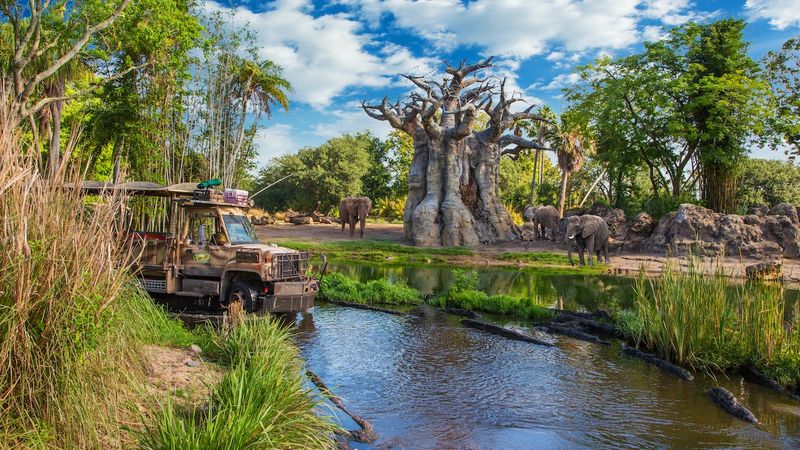 Animal Kingdom's Kilimanjaro Safaris