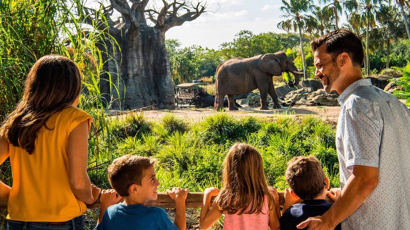 Animal Kingdom's Wilderness