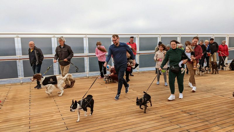 Pet-Friendly Cruises