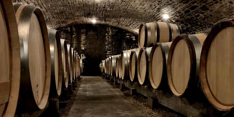 Secret Wine Cellar, France