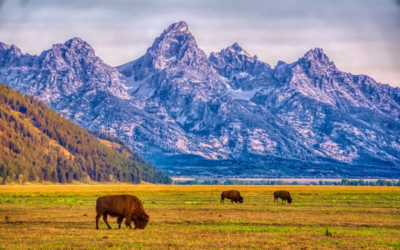 Grand Teton National Park, Wyoming