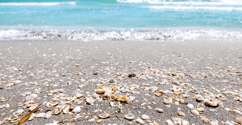 The Beaches of Sanibel Island