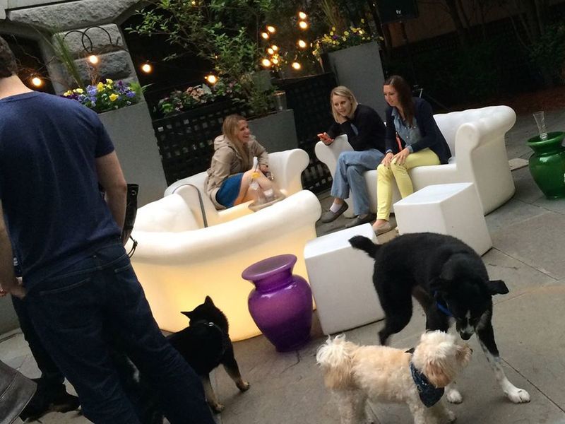 Look for Pet-Friendly Dining Options