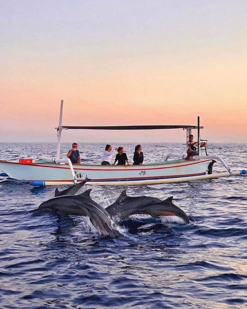 Embark on a Dolphin Tour in Lovina