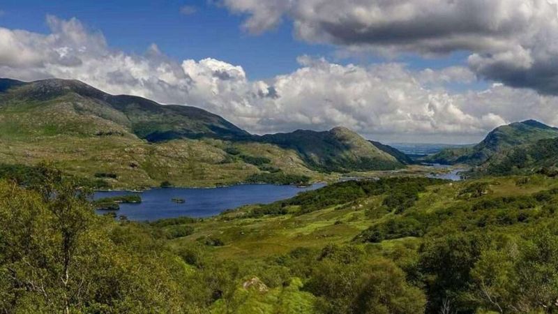 Wander Through Killarney National Park