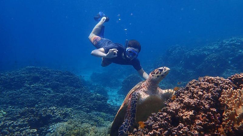 Snorkel at Menjangan Island